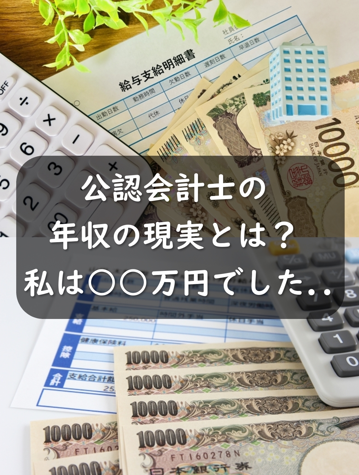 公認会計士の年収の現実とは？トーマツの場合は〇〇〇万円でした.. – 会計ショップ